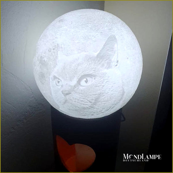 Bild der Katze eingraviert in  die kundenspezifische Mondlampe